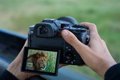 Sony presenta la cámara RX10 V con superzoom y enfoque automático con inteligencia artificial