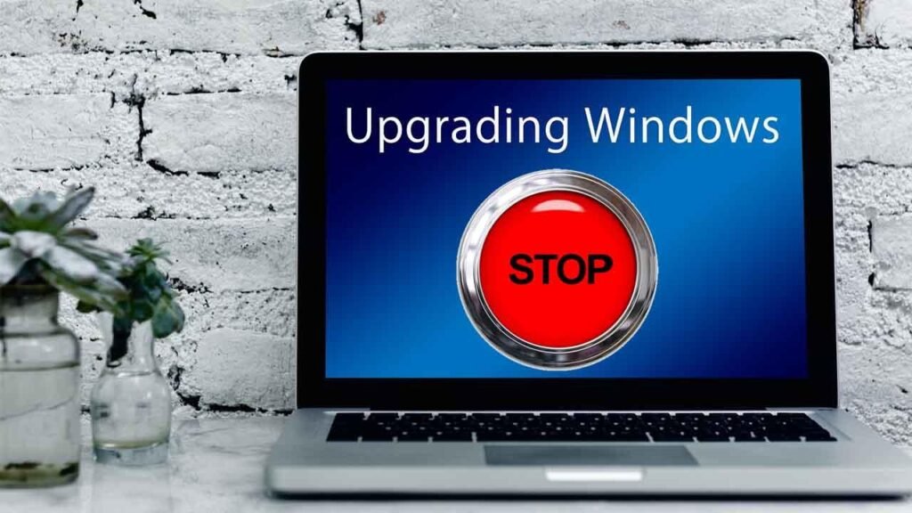 Microsoft deja una carpeta vacía llamada inetpub tras actualizar Windows 11: no debes borrarla