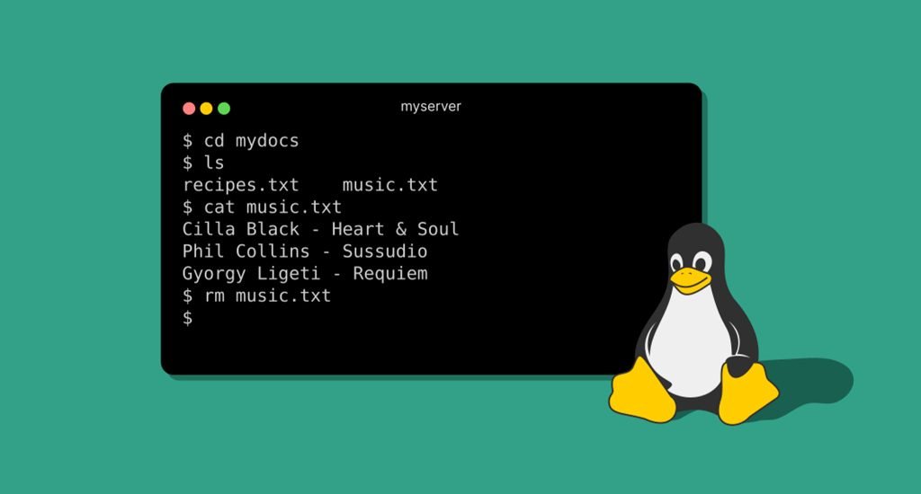 Los 7 comandos básicos de Linux que usarás siempre | Rincón de la Tecnología
