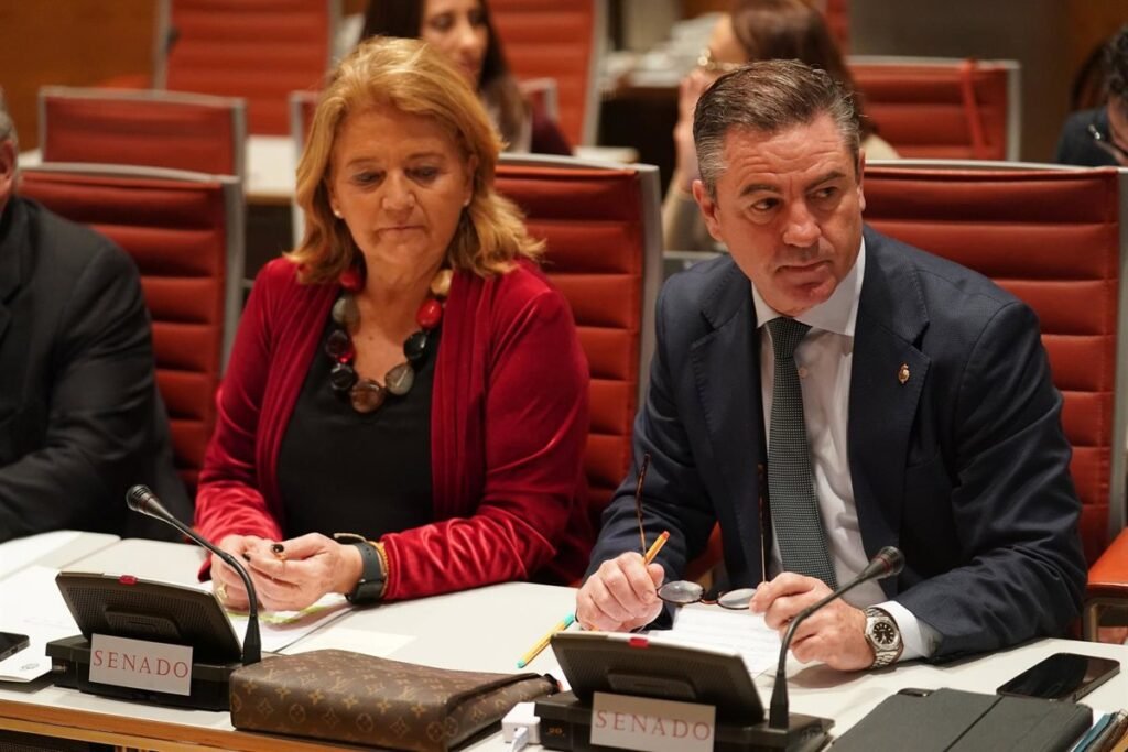 Jerez (PP) pide un refuerzo urgente ante los ciberataques, que pueden generar un "impacto multiplicado" en Baleares